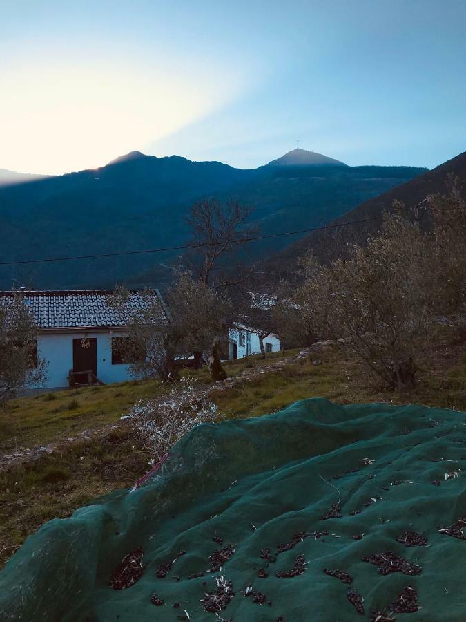 ヴィラ・レアル "Casa Da Russa" Mountain Experienceゲストハウス エクステリア 写真